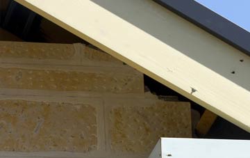 soffit repair West Denton